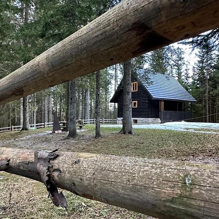 Cosy Lodge Pokljuka Goreljek Esterno foto