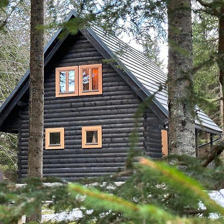 Cosy Lodge Pokljuka Goreljek Esterno foto
