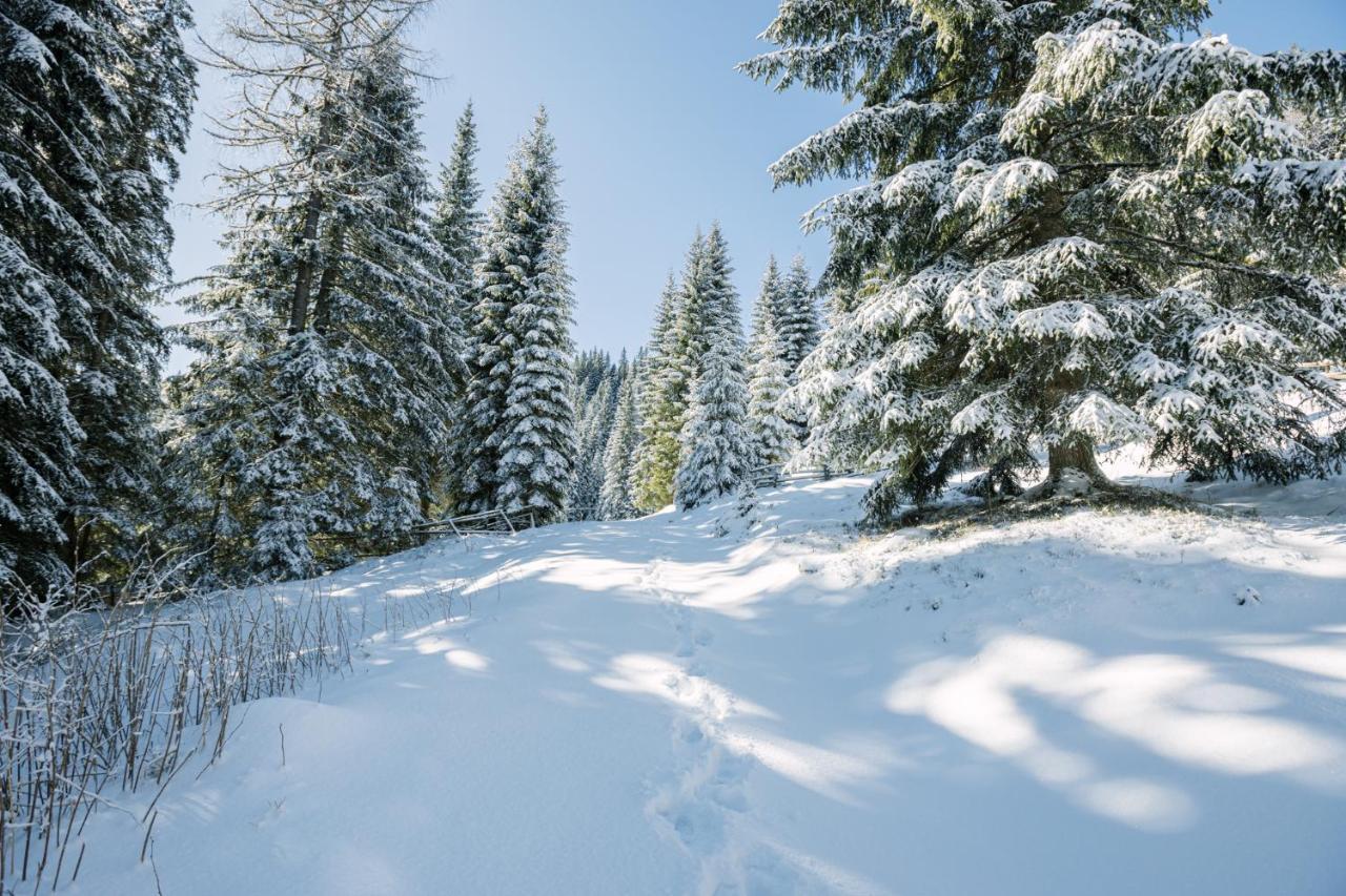 Cosy Lodge Pokljuka Goreljek Esterno foto