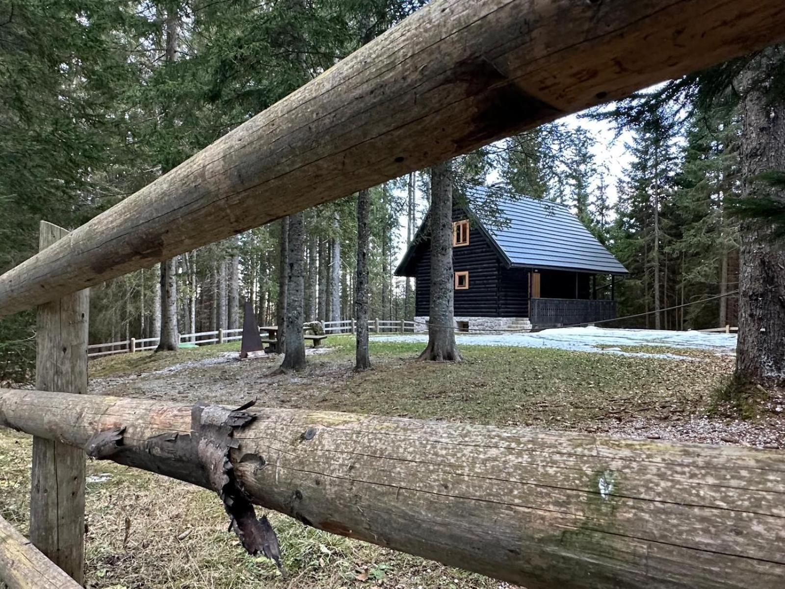 Cosy Lodge Pokljuka Goreljek Esterno foto