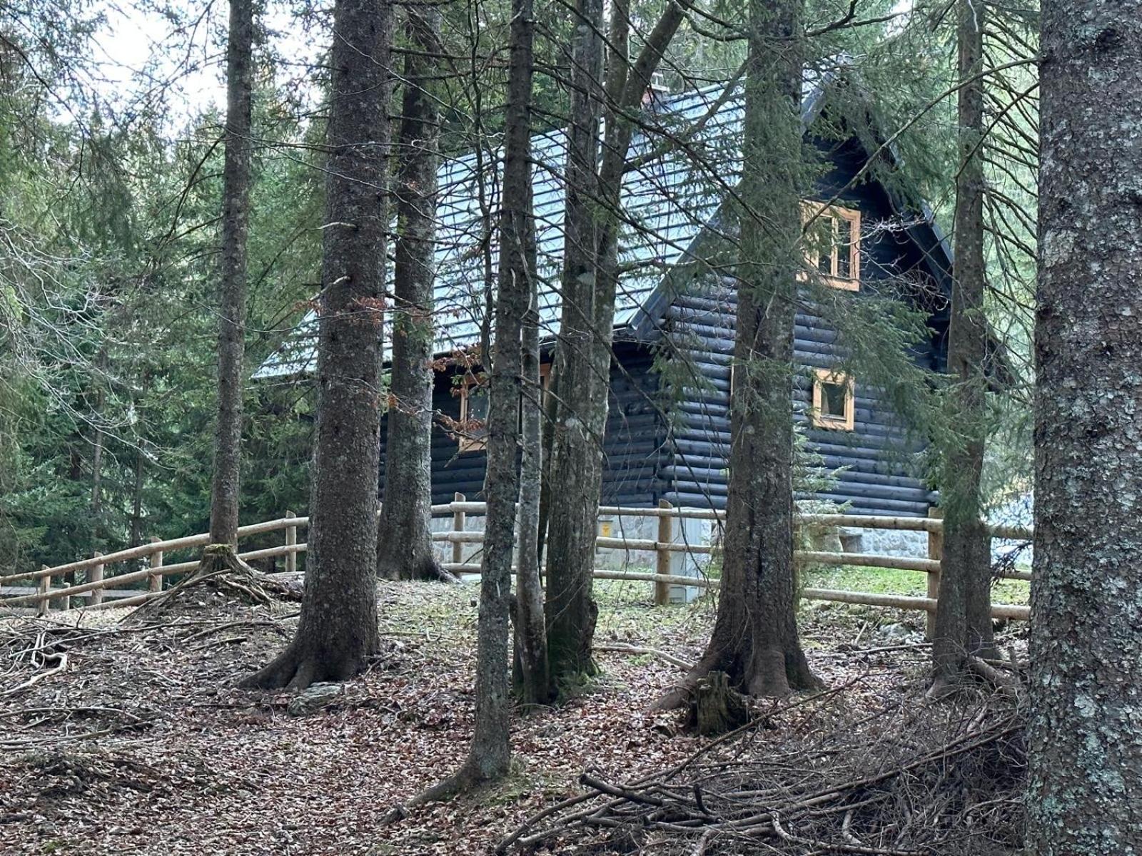 Cosy Lodge Pokljuka Goreljek Esterno foto