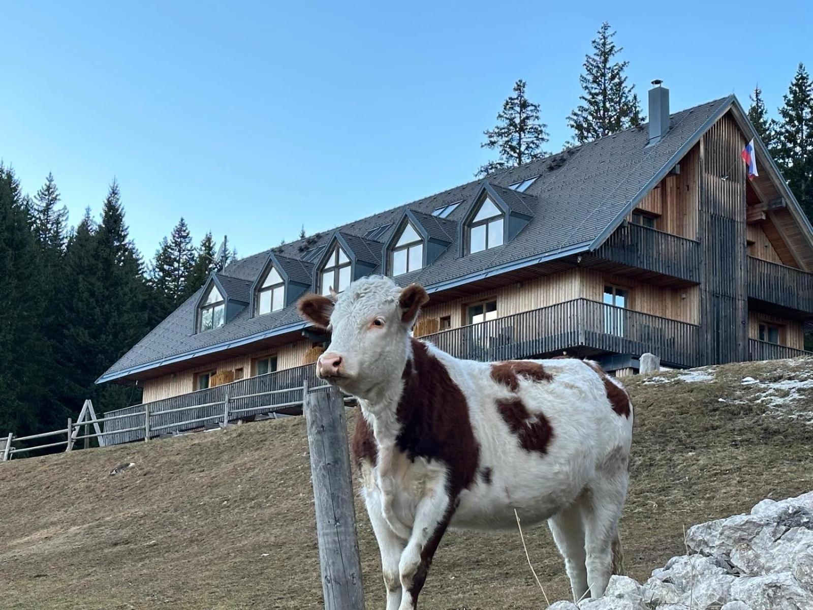Cosy Lodge Pokljuka Goreljek Esterno foto