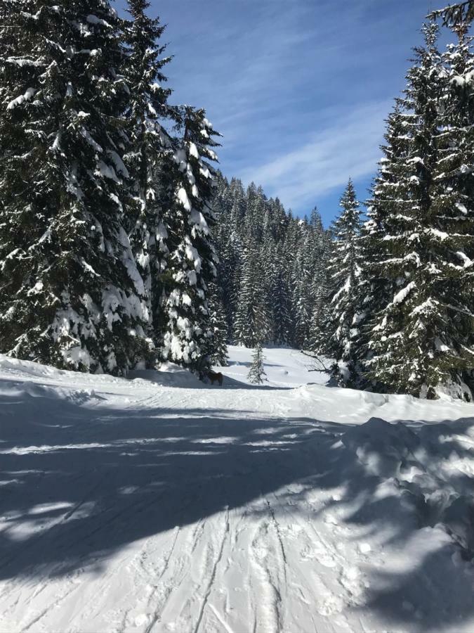 Cosy Lodge Pokljuka Goreljek Esterno foto